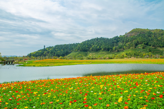 径山花海