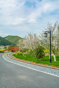 径山花海