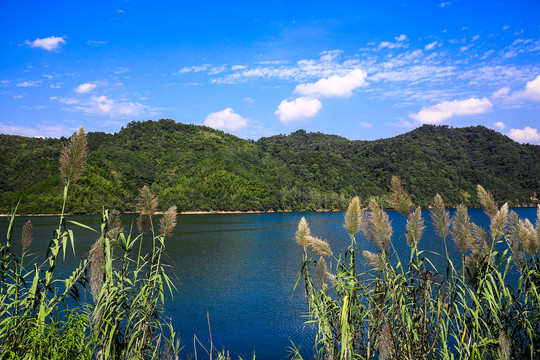 青山绿水