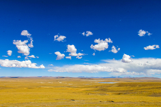 西藏措那湖