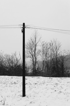 雪中电线杆
