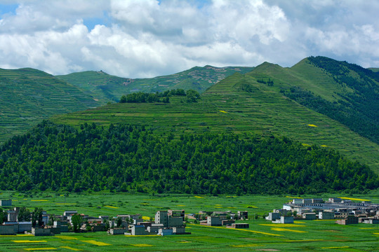 乡村风光