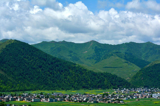 乡村风光