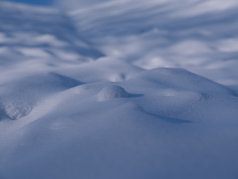 雪景