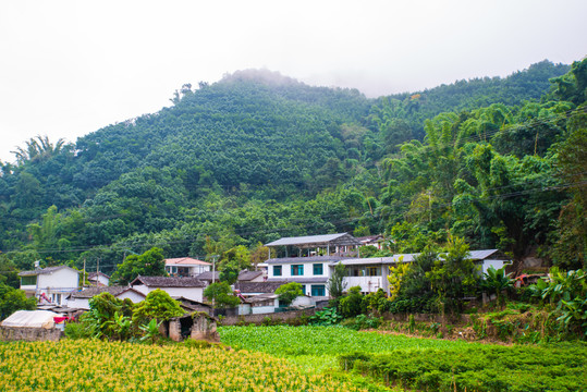 山脚乡村