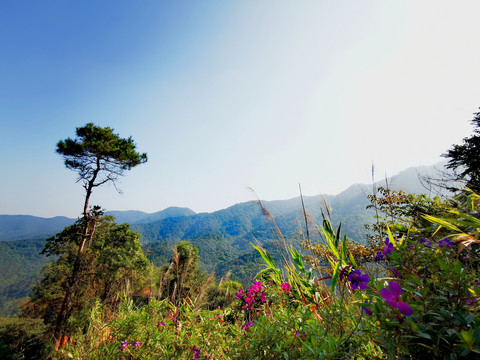 山峰景色