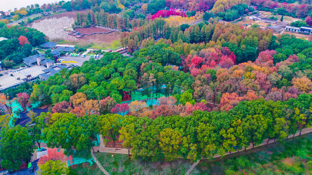 东湖