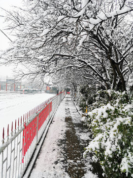 公园雪景