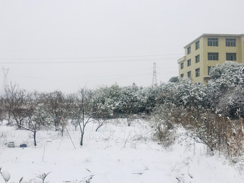 大雪纷飞雪景乡村暴雪