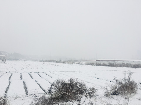 大雪纷飞雪景乡村暴雪