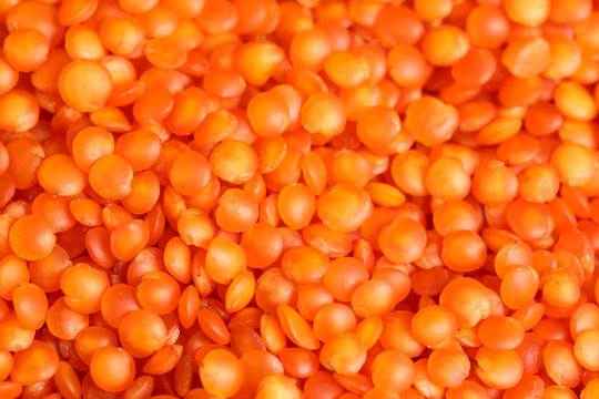 一堆红小扁豆