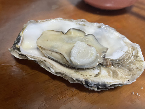 冷水蚝