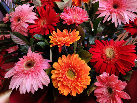 鲜花