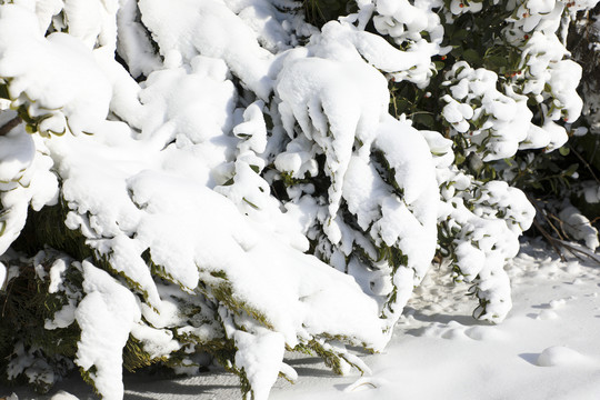 高清雪景素材