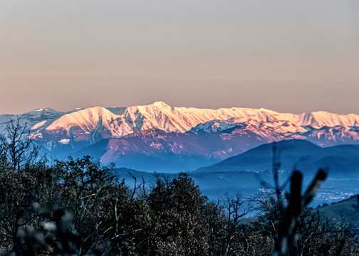 树林雪山