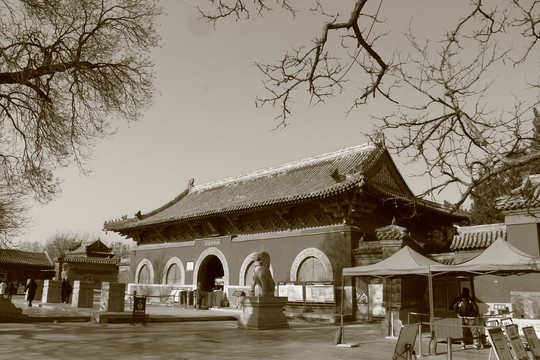 河北正定隆兴寺景区