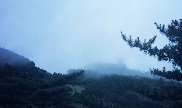 山峰松树林风景图片