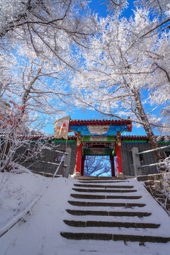 青岛崂山雪后晶挂雾凇