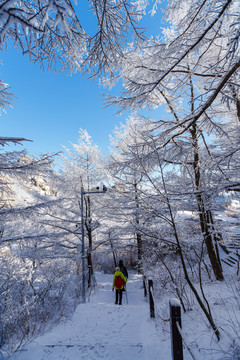 雪后崂山巨峰晶挂雾凇