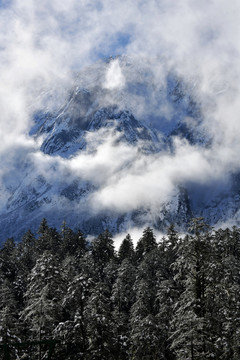 高山云雾