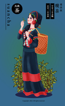 德昂族采茶女酸茶普洱茶插画