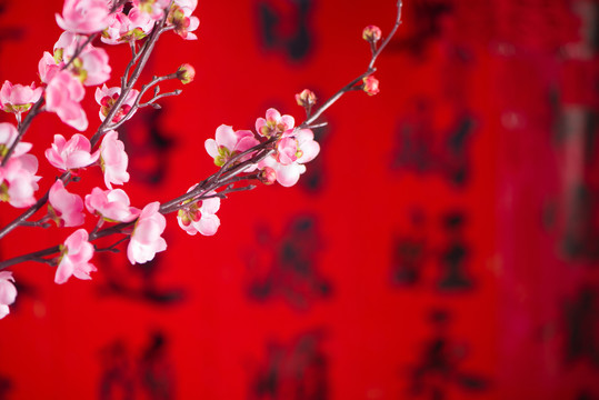 春节粉色梅花装饰背景