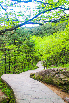 安徽黄山风景区