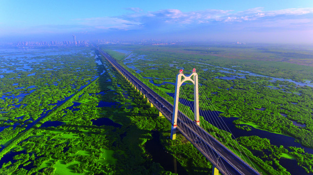 大庆龙凤跨湿地大桥航拍图