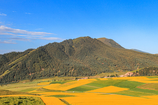 青海卓尔山