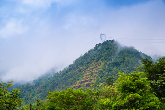 高山云雾