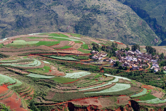 东川红土地