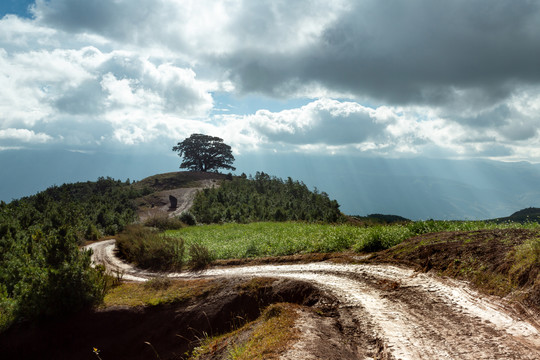 东川红土地