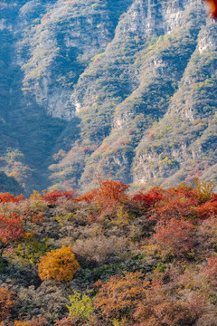 河北白银坨风光