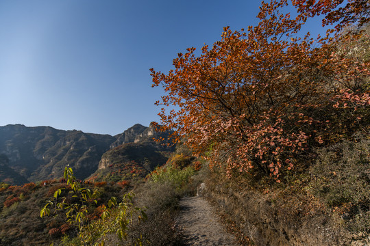 河北白银坨风光