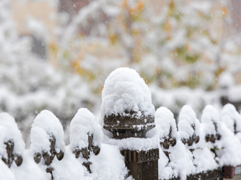 冬雪