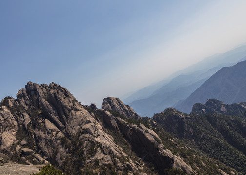 黄山鲫鱼背