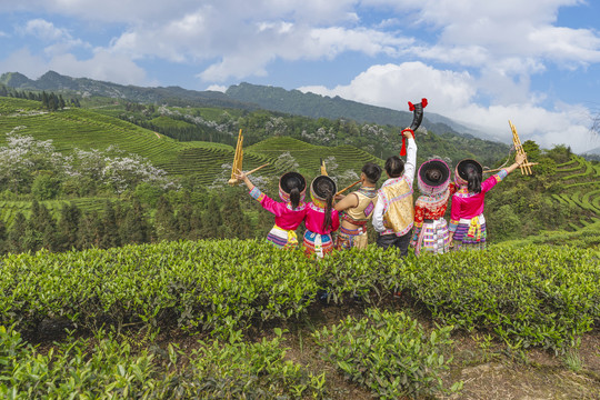 蓝天白云蜿蜒茶山风光