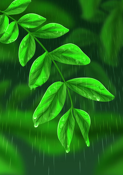 自然绿色叶子下雨天插画背景