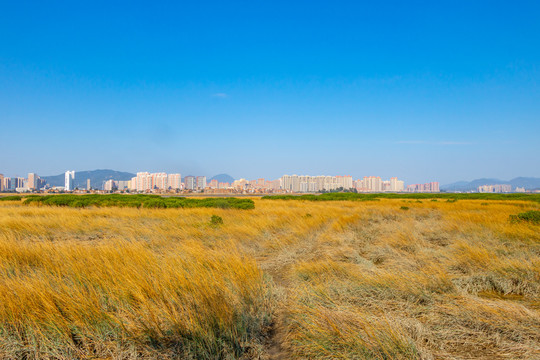 泉州城东全景