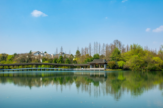 西湖春景