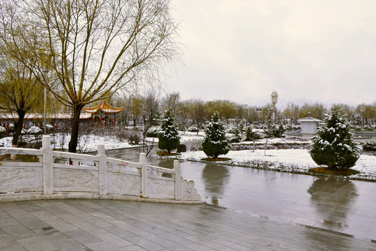 公园雪景