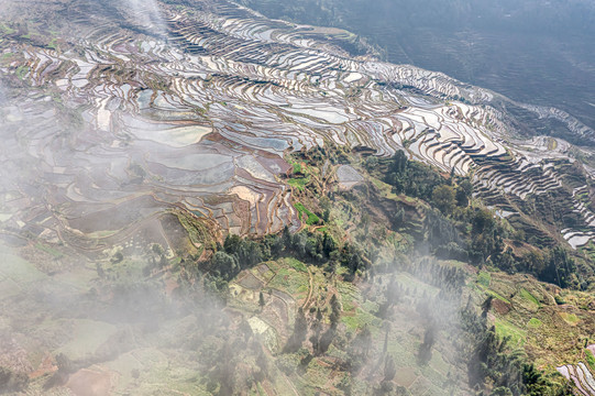 甲寅梯田