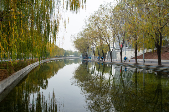 仰山河河堤