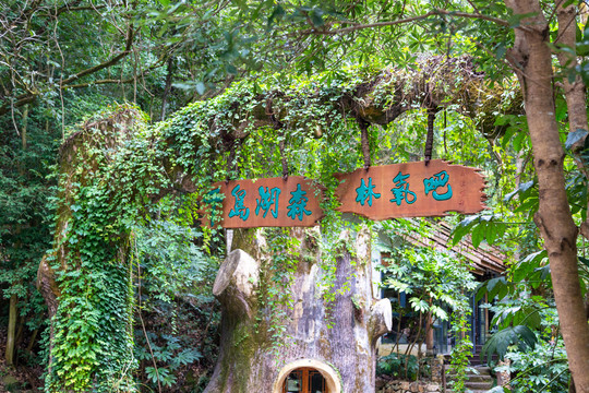千岛湖森林氧吧