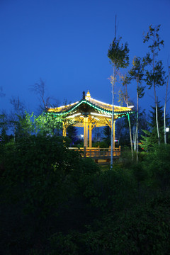 吉林龙井市海兰江夜景