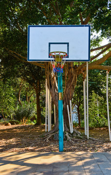 农村篮球架