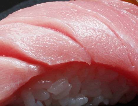 蓝鳍金枪鱼背寿司
