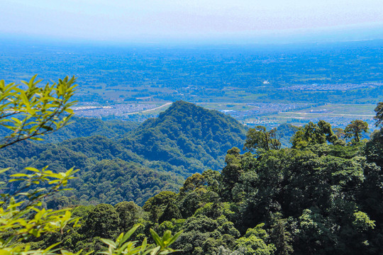 青城山