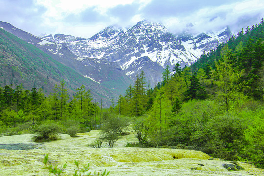 四川黄龙风景区