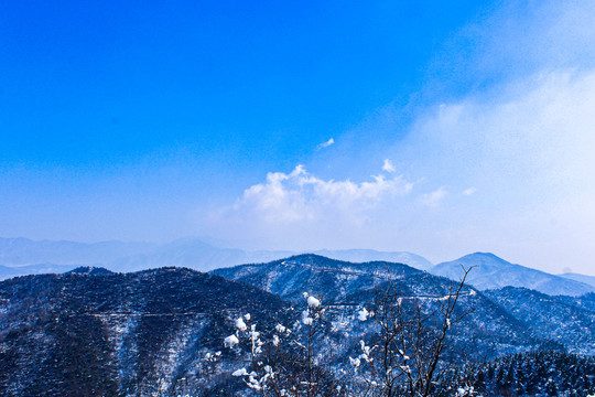 百望山